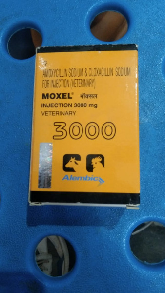 Moxel 3000 Injection - Alembic