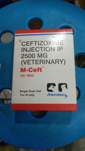 M-Ceft Injection - Alembic