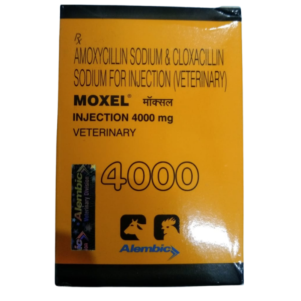 Moxel 4000 Injection-Image
