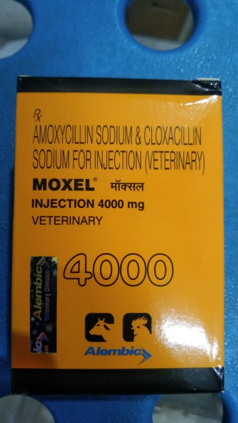Moxel 4000 Injection - Alembic