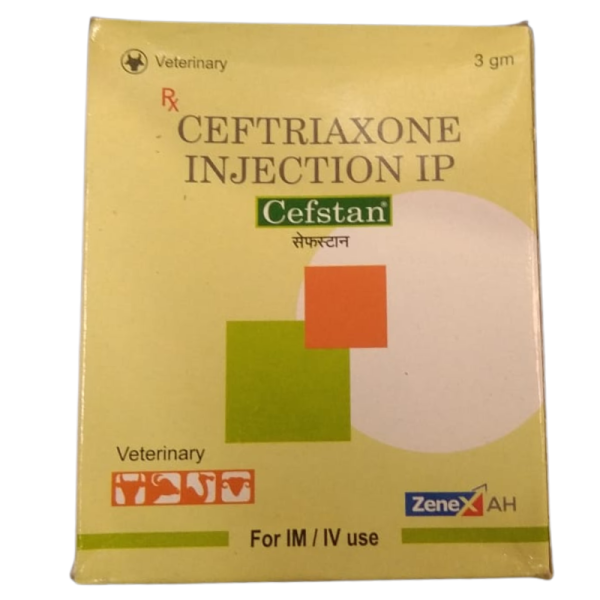 Cefstan Injection - Zenex AH