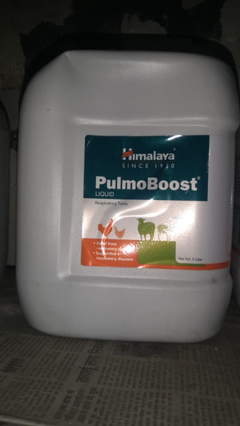 PulmoBoost Liquid - Himalaya