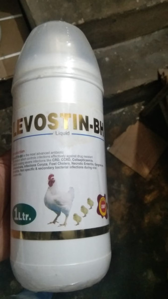 Levostin Bh Liquid - Norvet