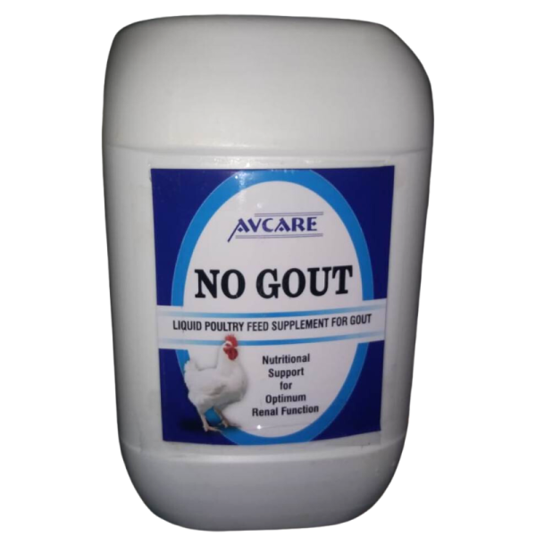No Gout - Avcare