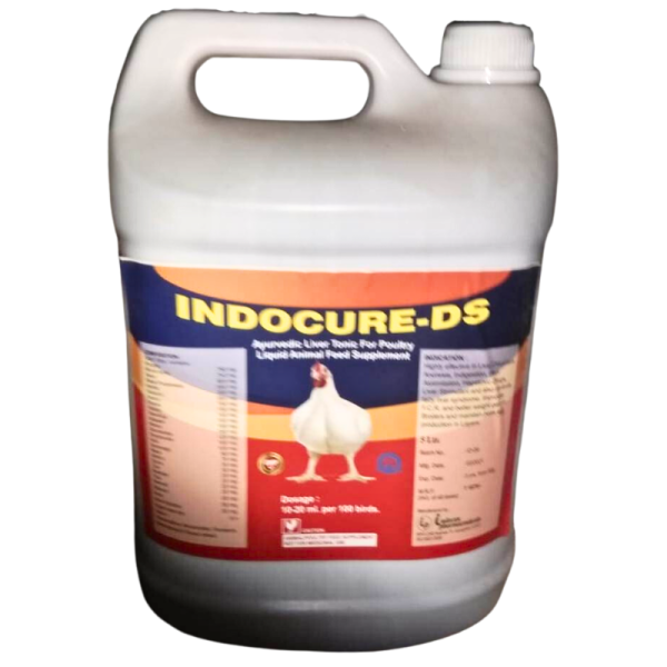 Indocure - DS - Indocan Pharmaceuticals