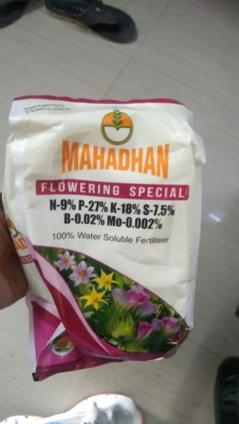 Flower Seeds - Mahadhan
