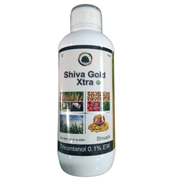 Shiva Gold Xtra Image