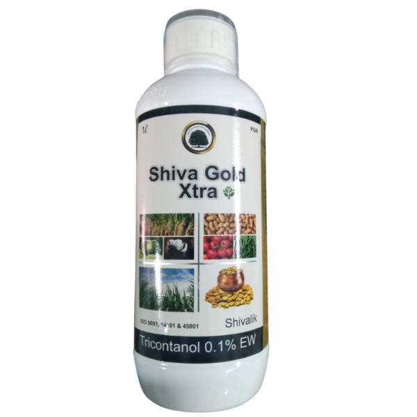 Shiva Gold Xtra - Shivalik