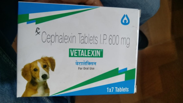 Vetalexin 600mg - Indian Immunologicals