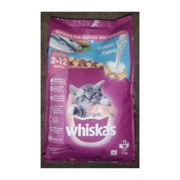 Cat Food-Image