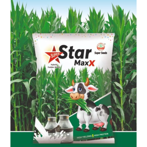 Star Maxx Hybrid Fodder Maize Seeds Image