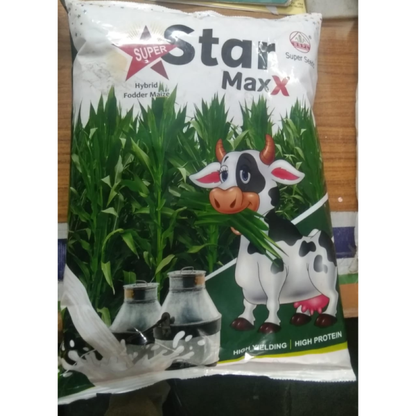 Star Maxx Hybrid Fodder Maize Seeds - Super Seeds