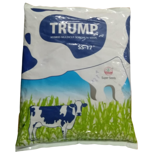 Trump Hybrid Multicut Sorghum Seeds - Super Seeds
