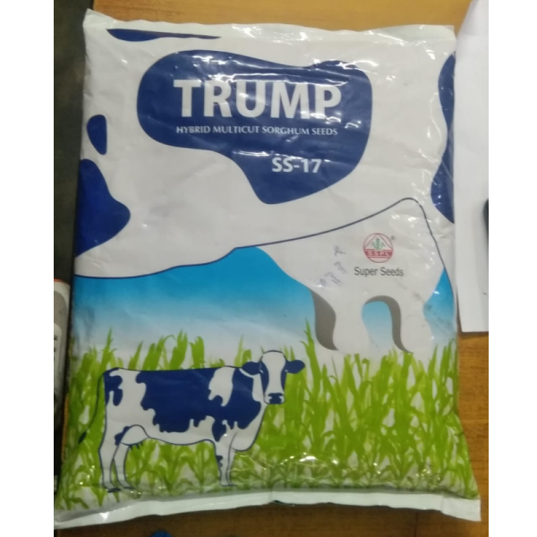 Trump Hybrid Multicut Sorghum Seeds - Super Seeds