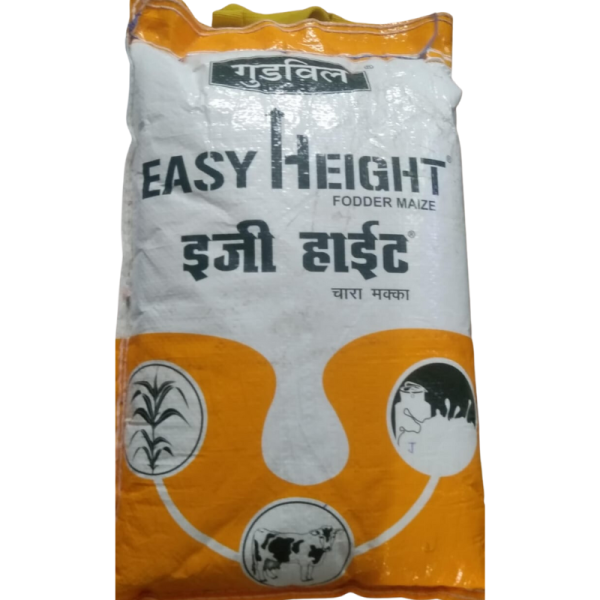 Easy Height Seeds Image