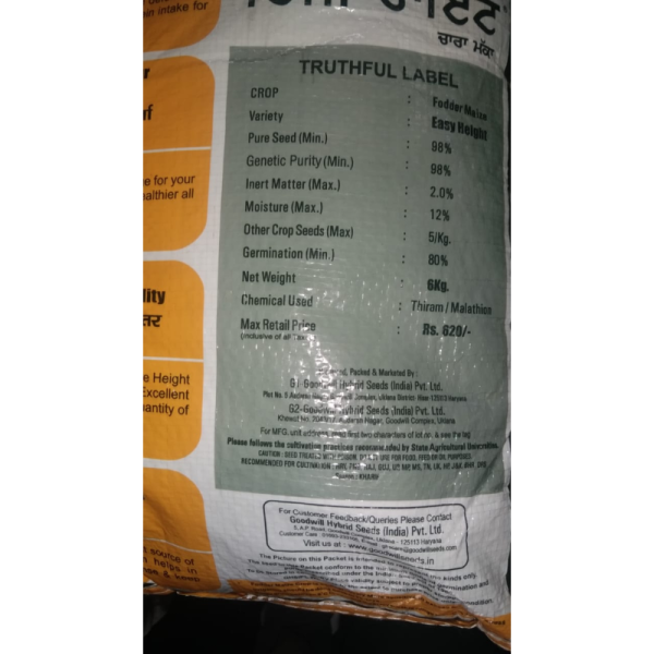 Easy Height Seeds image 4
