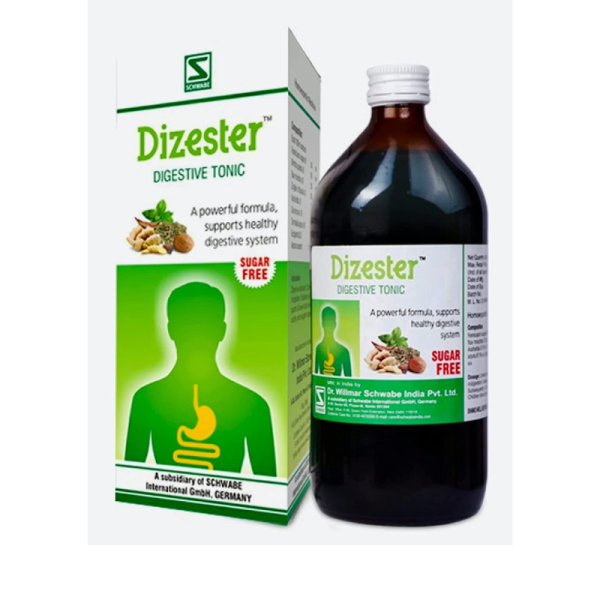Dizester Digestive Syrup - Dr Willmar Schwabe
