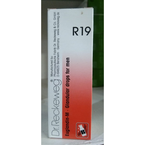 R19 Euglandin-M Glandular Drops For Men - Dr. Reckeweg