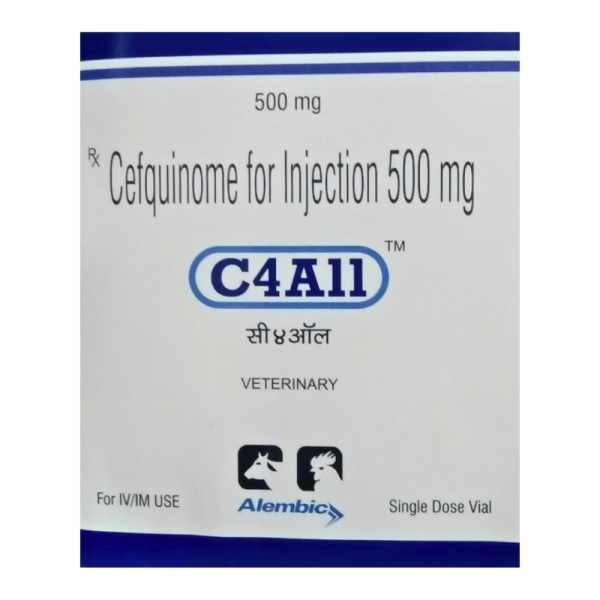 C4A11-Image