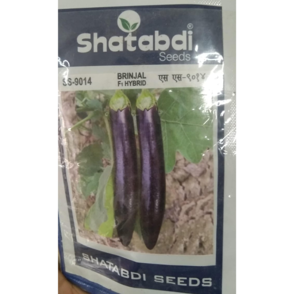 Brinjal Hybrid-Image