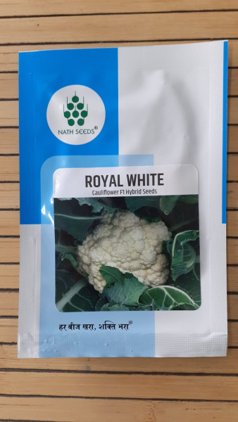 Cauliflower F1 Hybrid Seeds - Aqualogica
