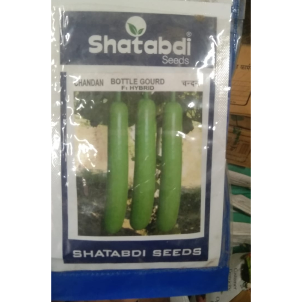 Bottle Gourd F1 Hybrid-Image
