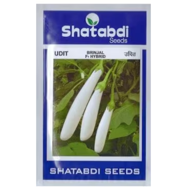Brinjal Hybrid-Image