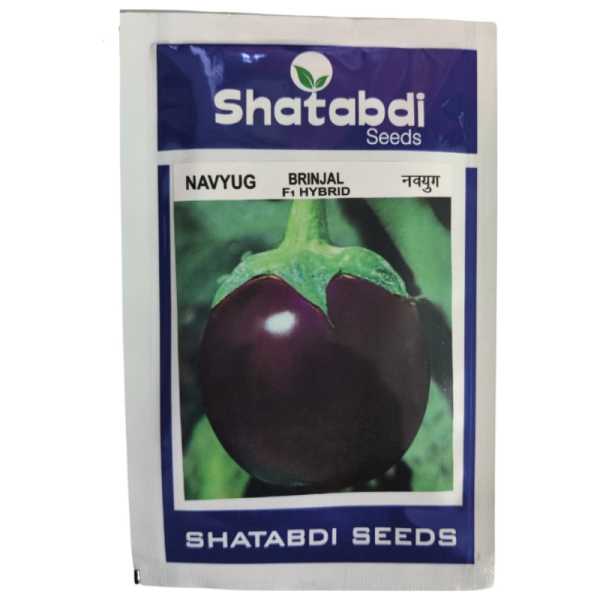 Brinjal Hybrid Image