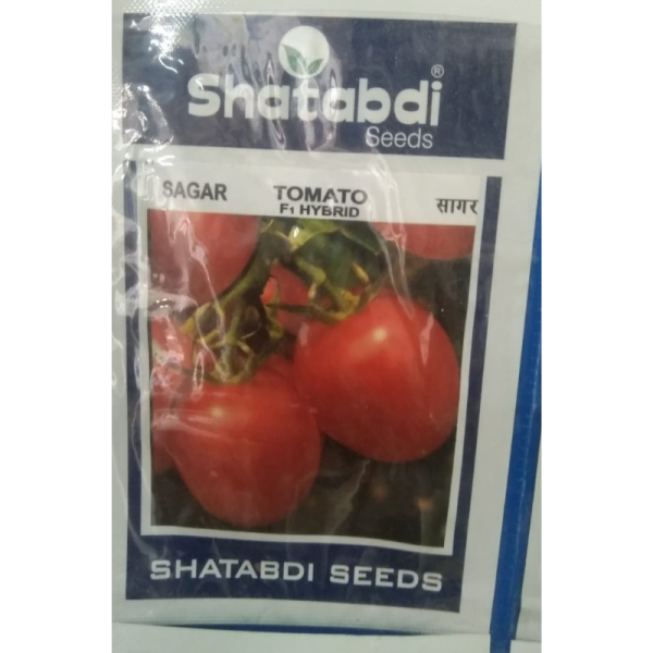 Tomato F1 Hybrid Image