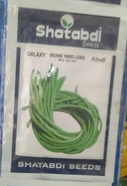 Beans Yard Long Seeds - Shatabdi Seeds