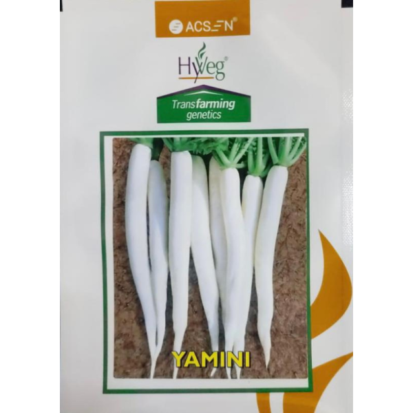 Yamini White Pearl Seed Image
