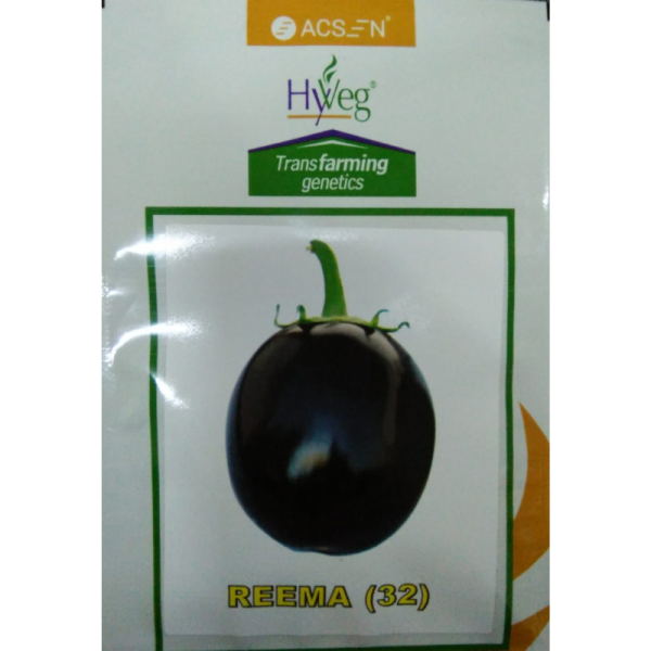 Brinjal Seed Image