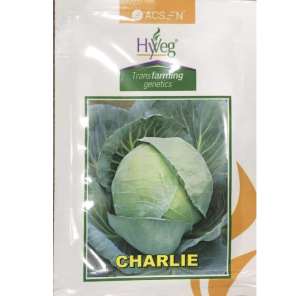 Charlie Cabbage Image