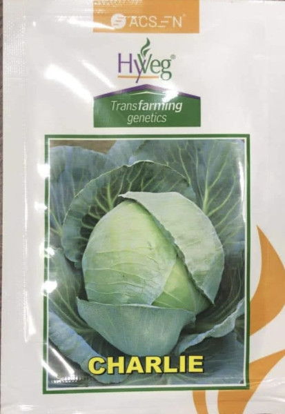 Charlie Cabbage image 2
