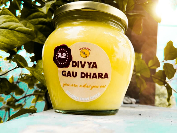 Bilona Cow Ghee - Jelly Pops