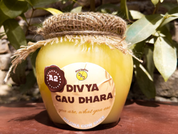 Bilona Cow Ghee - Jelly Pops