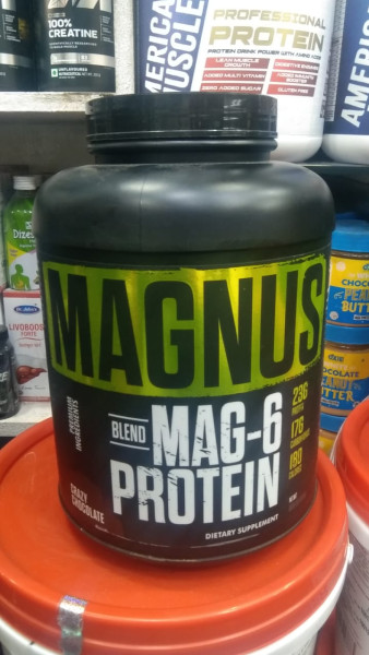 Protein Powder - Magnus