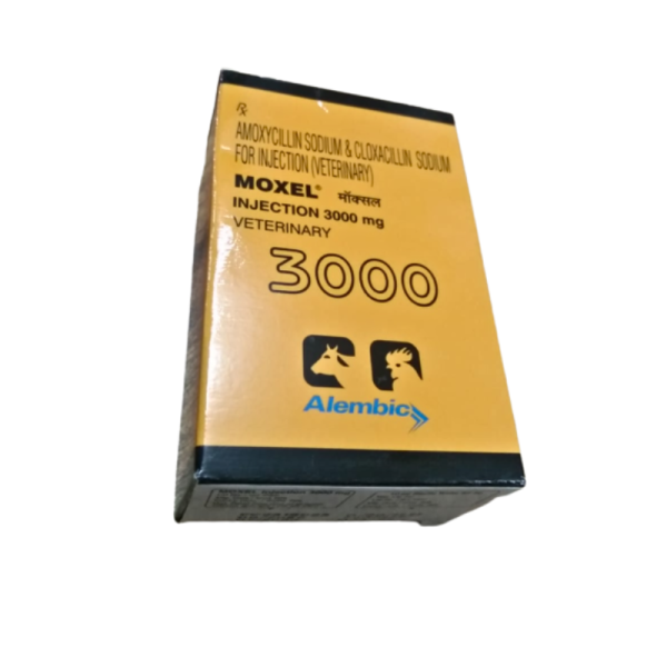 Moxel 3000 Injection-Image