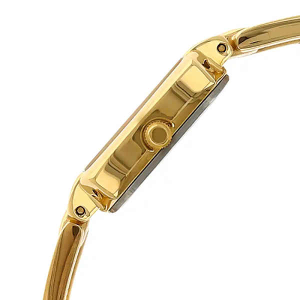 Wrist Watch - Titan