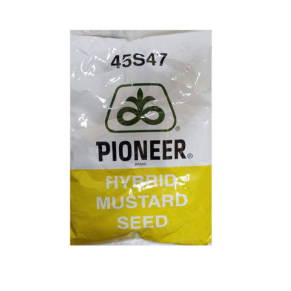 Mustard Seed-Image