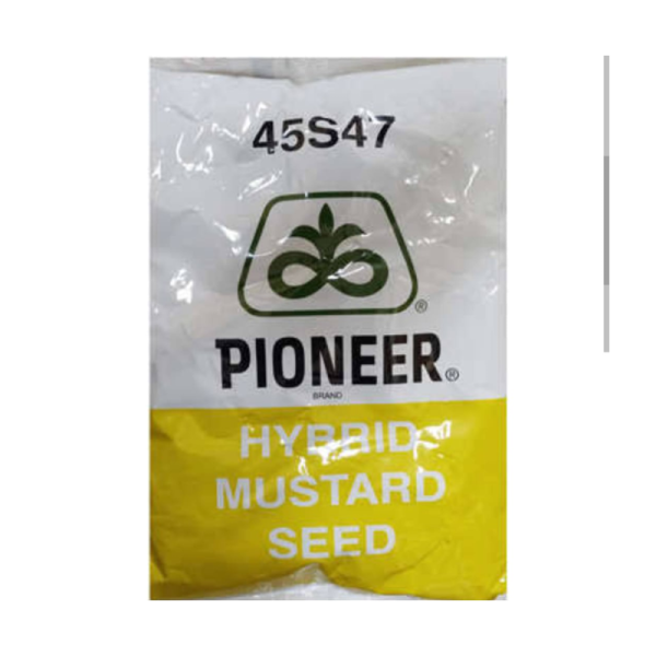Mustard Seed image 2