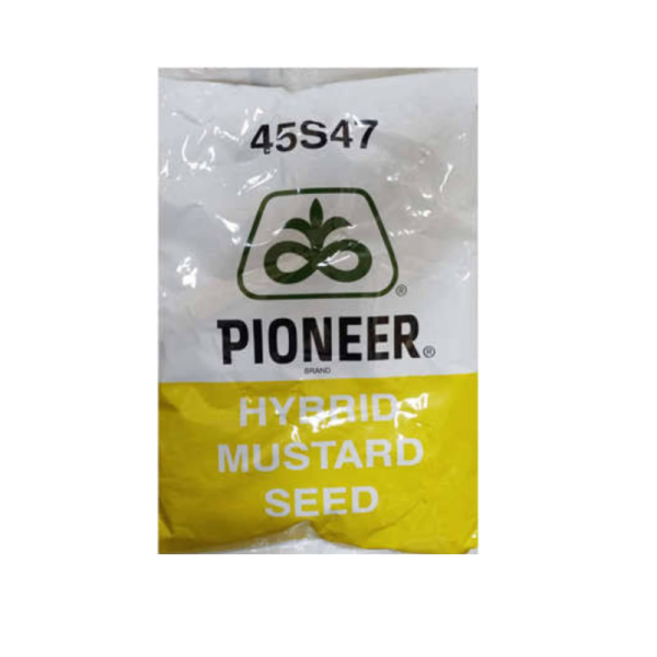 Mustard Seed - Pioneer Seeds