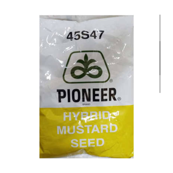 Mustard Seed - Pioneer Seeds