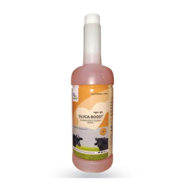 Gluca Boost-Image
