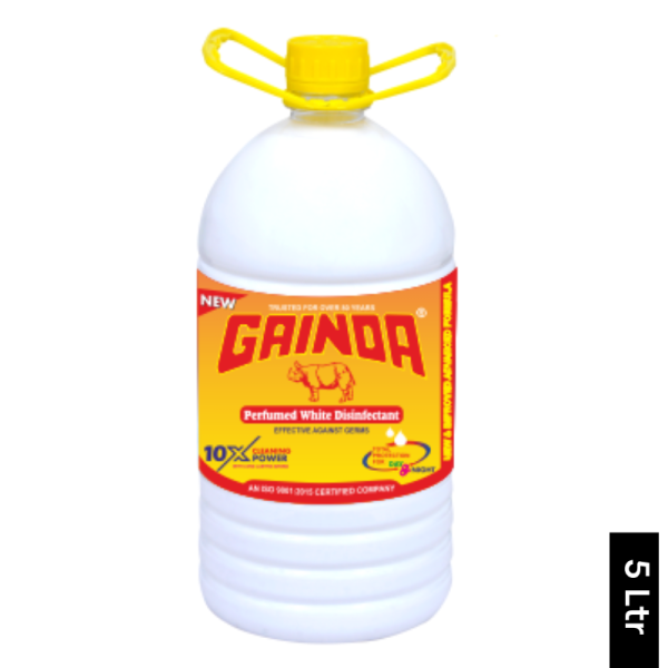 Floor Cleaner-Image