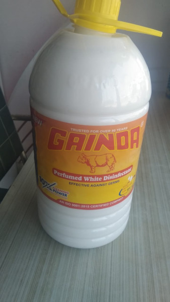 Floor Cleaner - Gainda