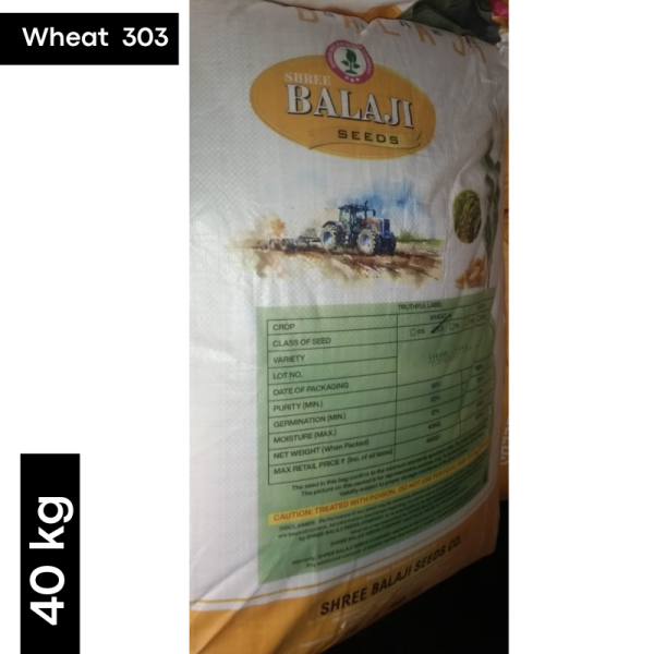 Wheat 303 Seeds - Balaji Seeds