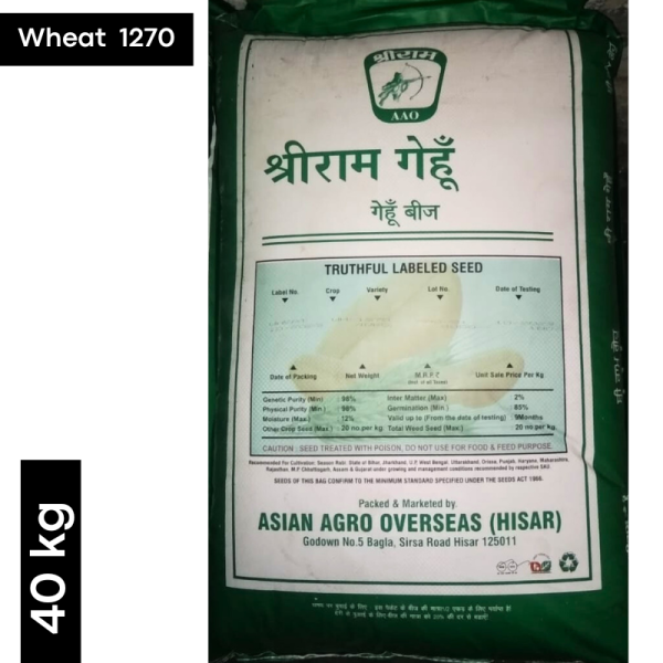 Wheat 1270 Seeds - Shree Ram AAO