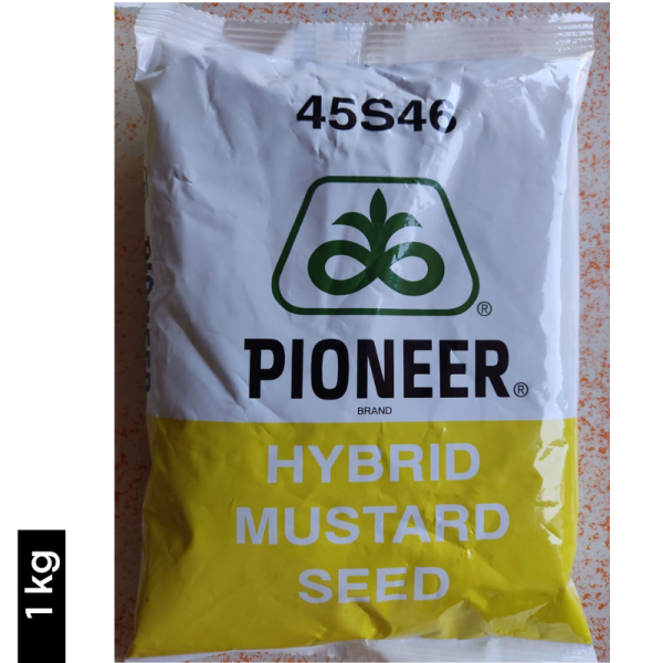 Hybrid Mustard Seed - PIONEER