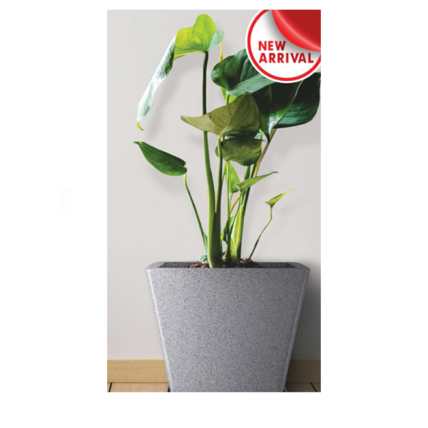 Flower Pot-Image